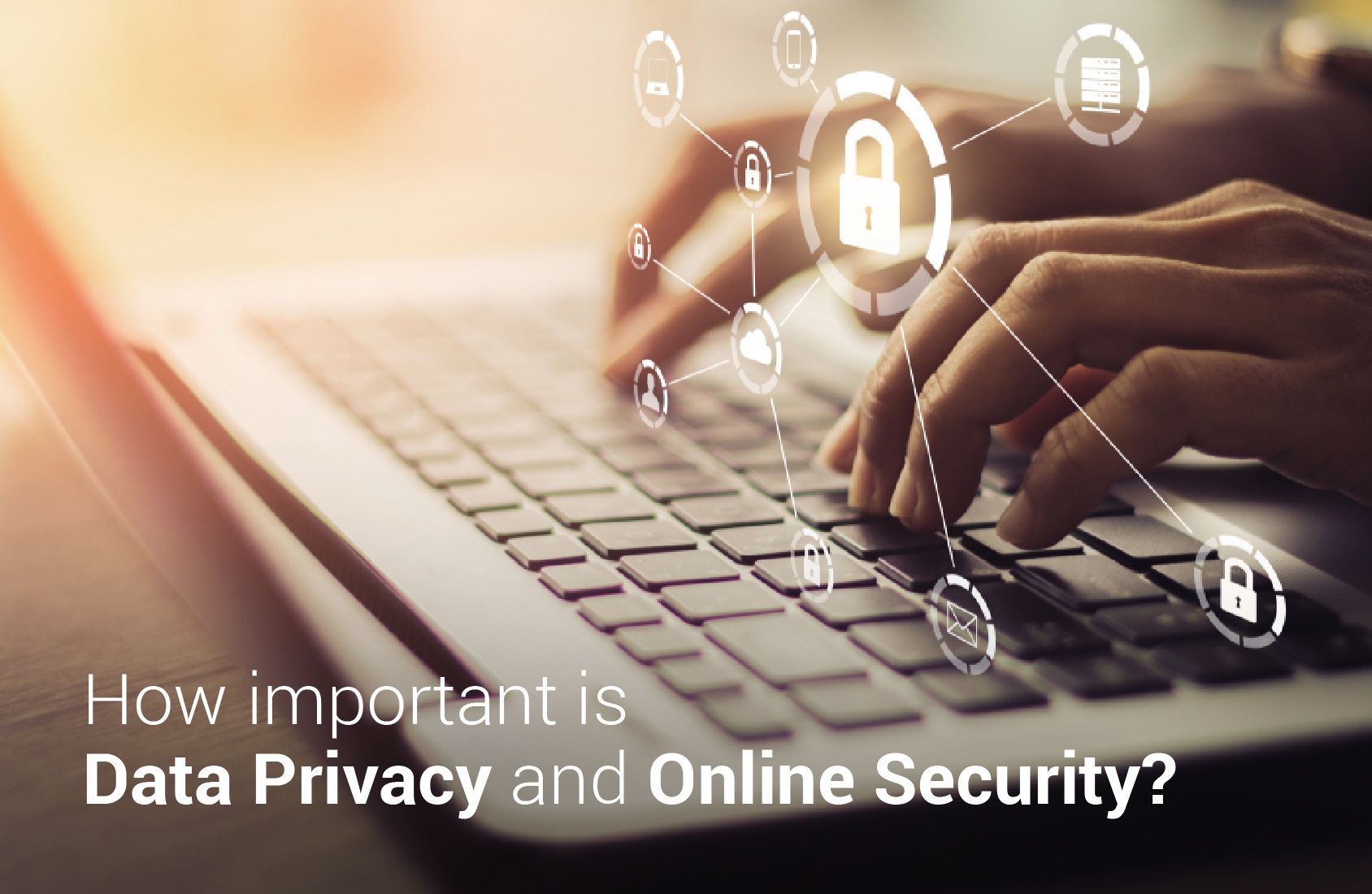 How important is Data Privacy and Online Security?