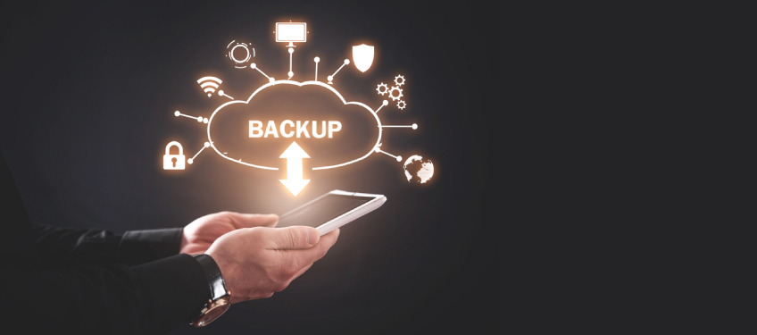 Why are daily backups necessary for a business website?